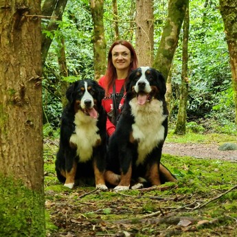 Berner-Garde representative in Ireland and Bernese Mountain Dog Club Committee member Diana 
